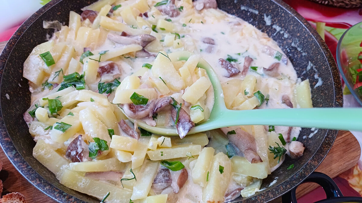 Все фотографии в статье сделаны автором канала. 