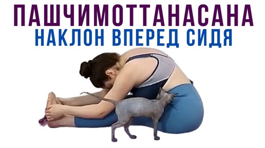 Арда Бадда Падма пачщимотанасана
