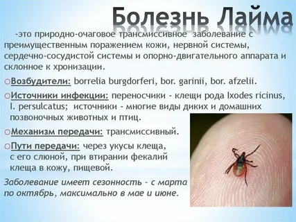 взято из общего доступа