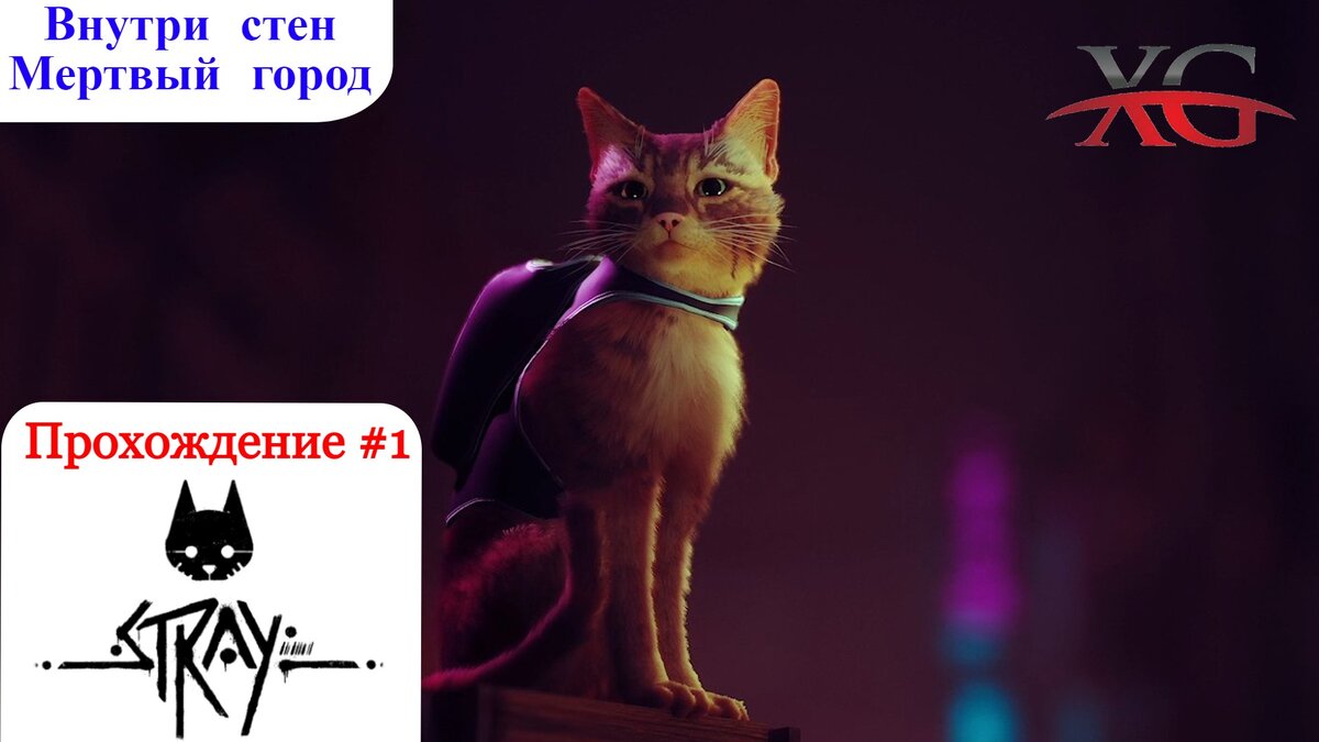 Бизнес коты прохождение. Внутри стен Stray игра. Stray кот лого. Бизнес коты прохождение игры.