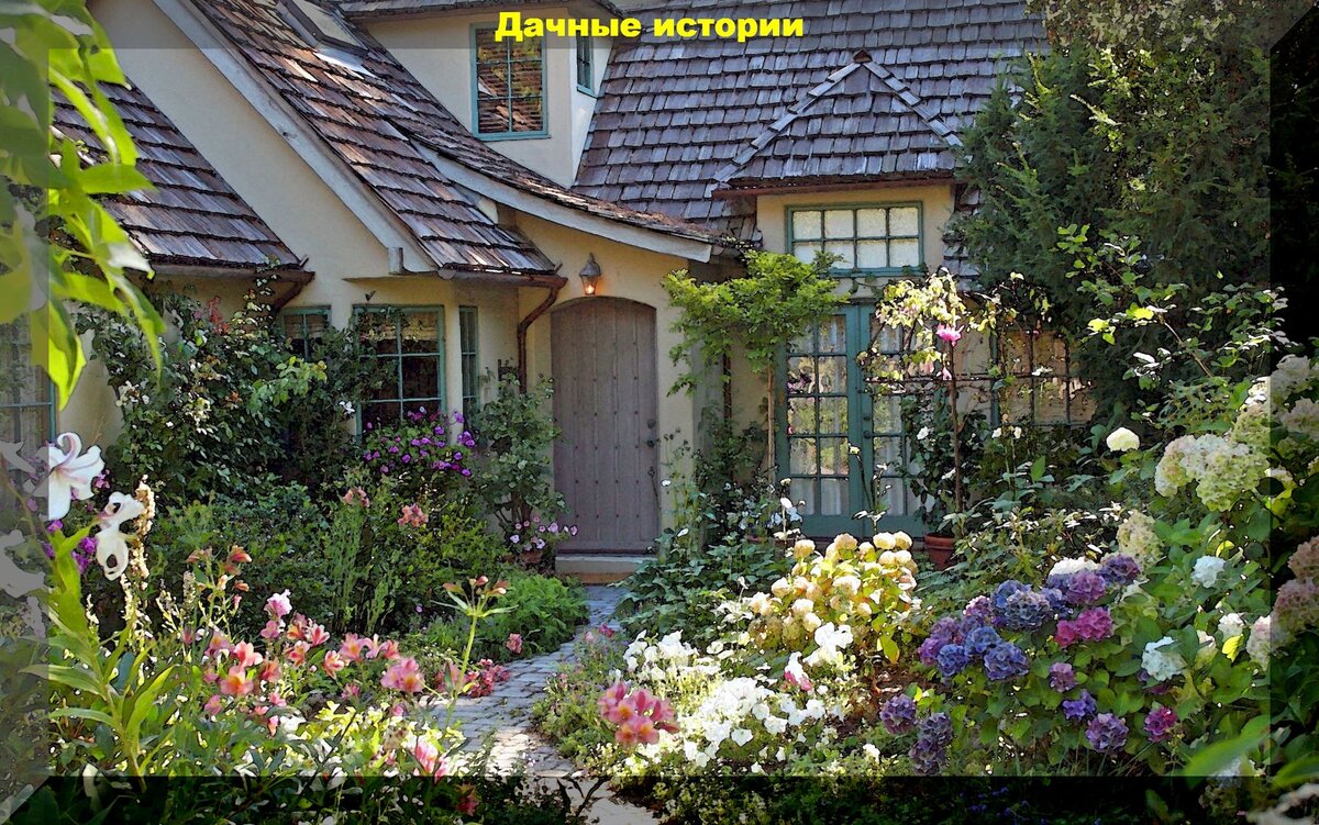 https://vk.com/photo-159774511_457259420