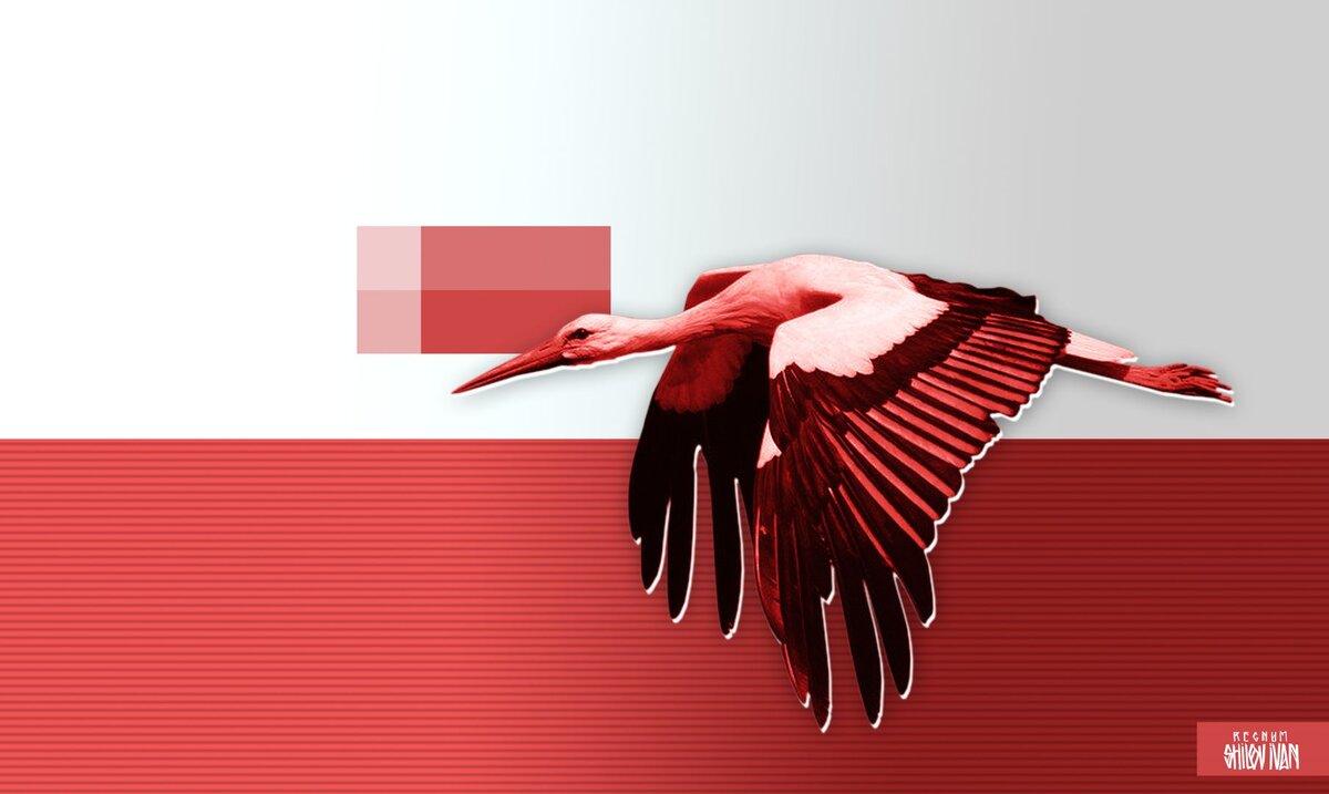    Аист Иван Шилов (с) ИА REGNUM