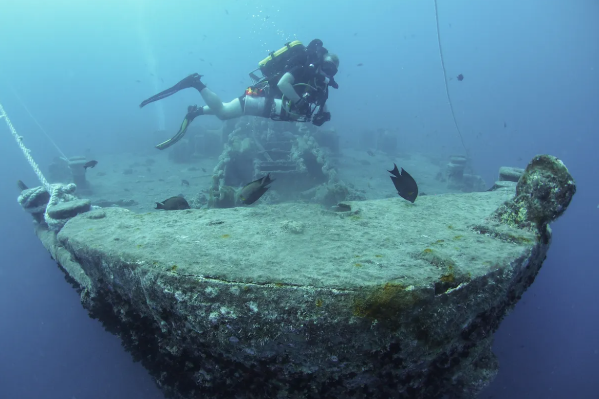     Коралловый риф из затопленного корабля и кадры ударов молний по высотным зданиям: главные новости сегодня