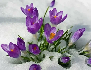 Изображение из открытых источников.