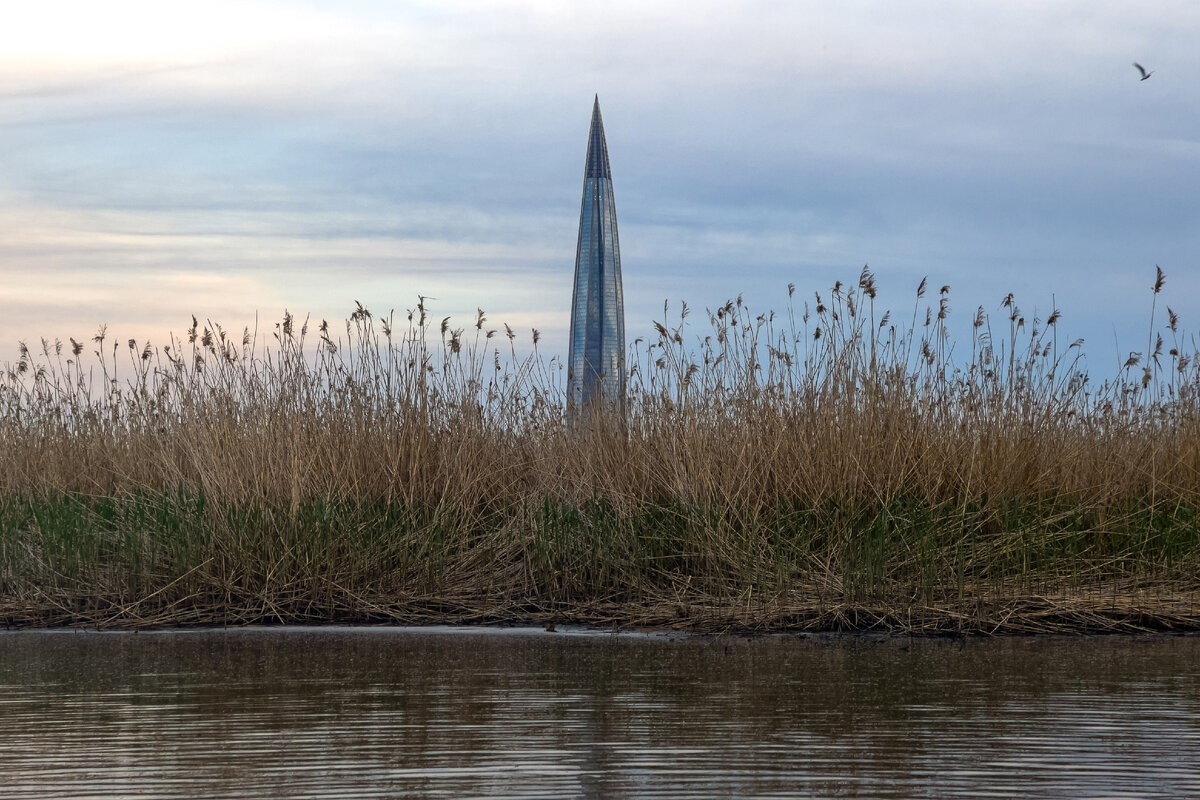 Вот она, башня! Фото автора.