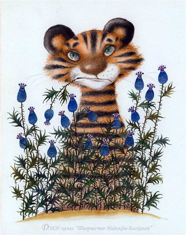 Фото из свободного доступа в Интернете