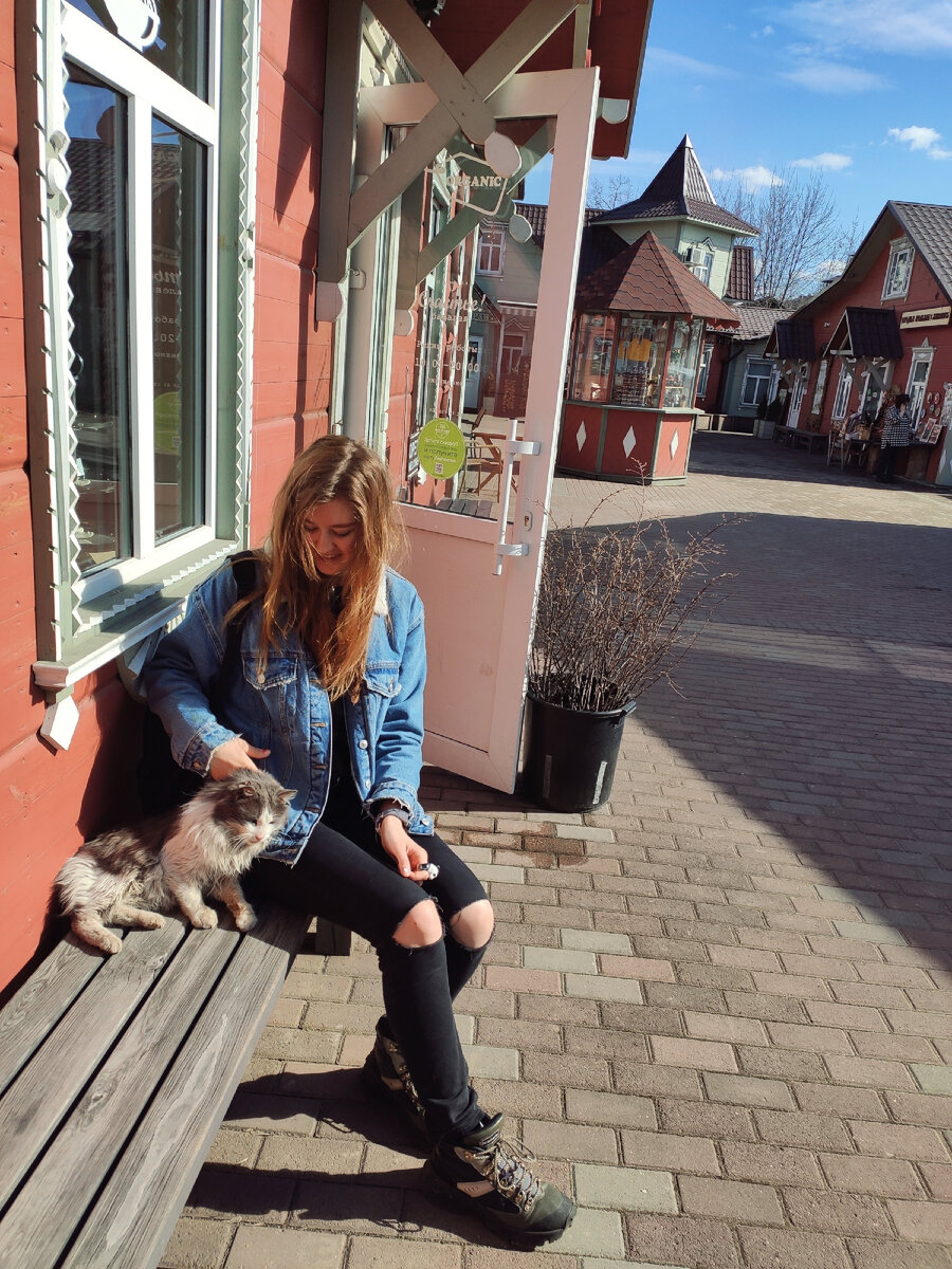 Красивые домики и милый котик 