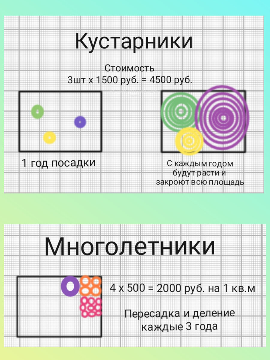 Давайте посмотрим на экономику посадок. Возьмём участок 3х4 метра, который выделили для создания красивой композиции из растений. 1 вариант.