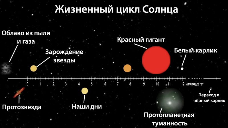 Звезды бывают самые разные старые и молодые великаны и карлики горячие и холодные схема предложения