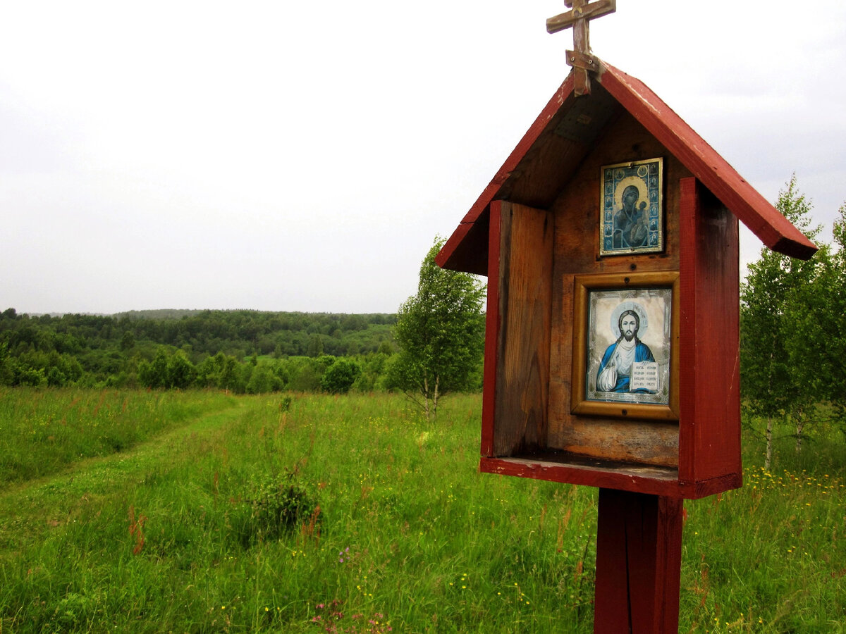 Фото Сергея Михеева