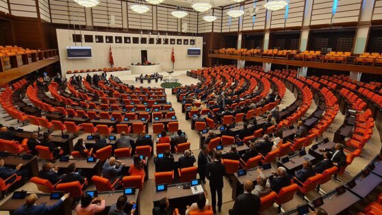    Парламент Турции может одобрить членство Финляндии в НАТО до выборов Алина Городниченко