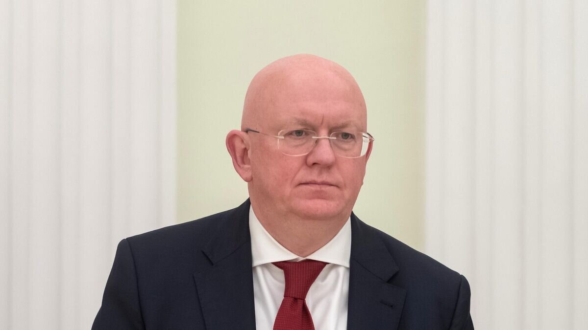    Заместитель министра иностранных дел РФ Василий Небензя © РИА Новости / Сергей Гунеев