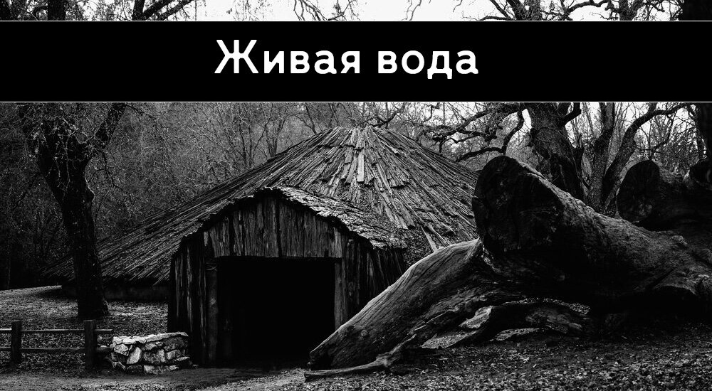 Изображение взято с freepik.com