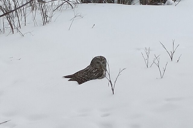   Фото: Из архива/ Тверь Натуральные новости ВКонтакте, Марина Пожелаева