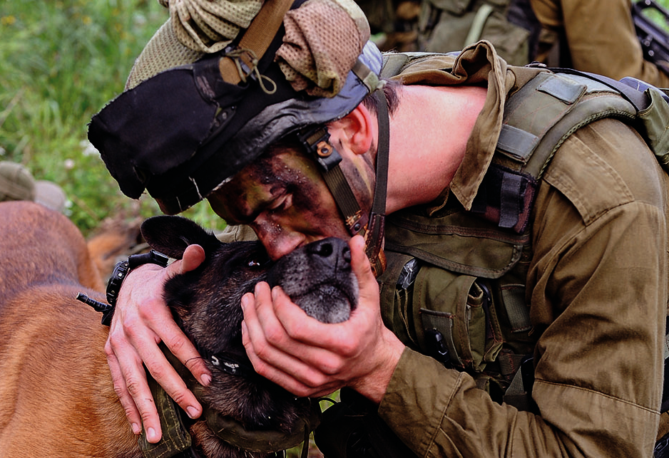 Пес бандит. Военная собака. Собаки на военной службе. Русский военный с собакой. Служебные собаки военные.