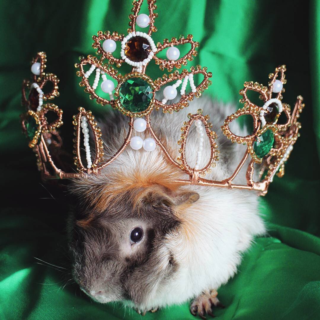 (Шехзаде) Селим. Селимушка. Фото моё.