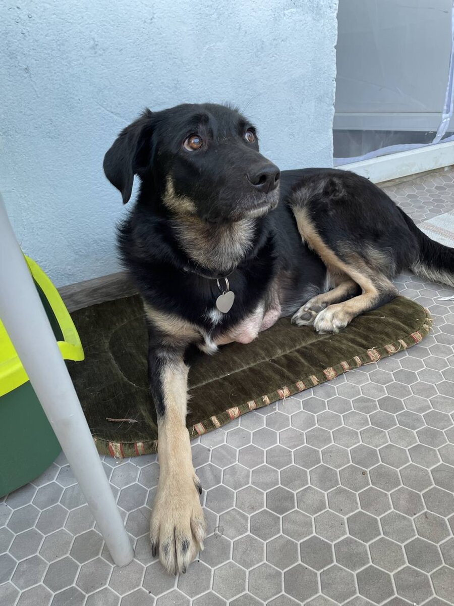 Аза еще не знает, что скоро её жизнь круто изменится