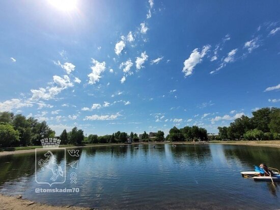     фото: мэрия Томска