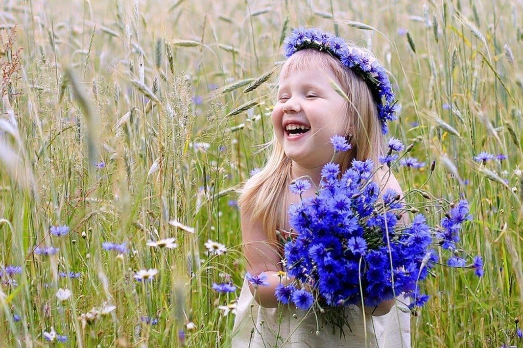 Яндекс картинки