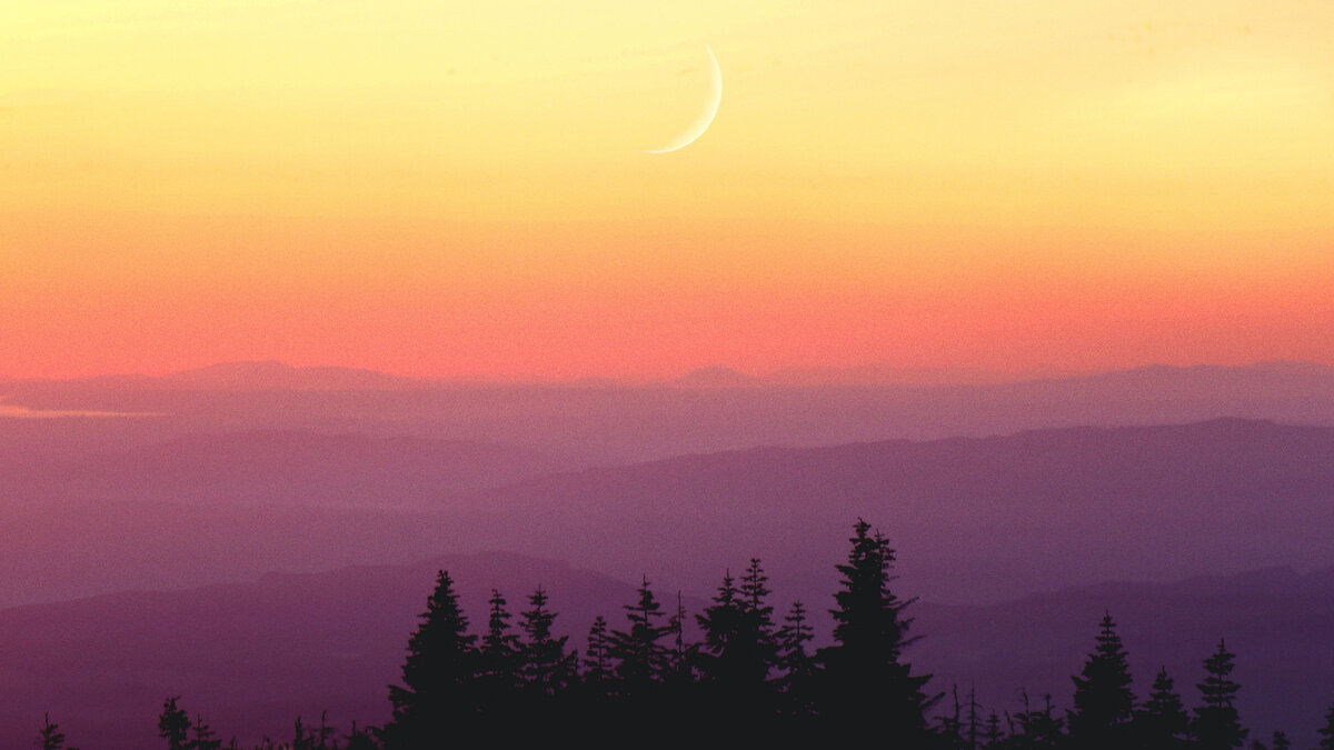 Photo by Jordan Steranka on Unsplash