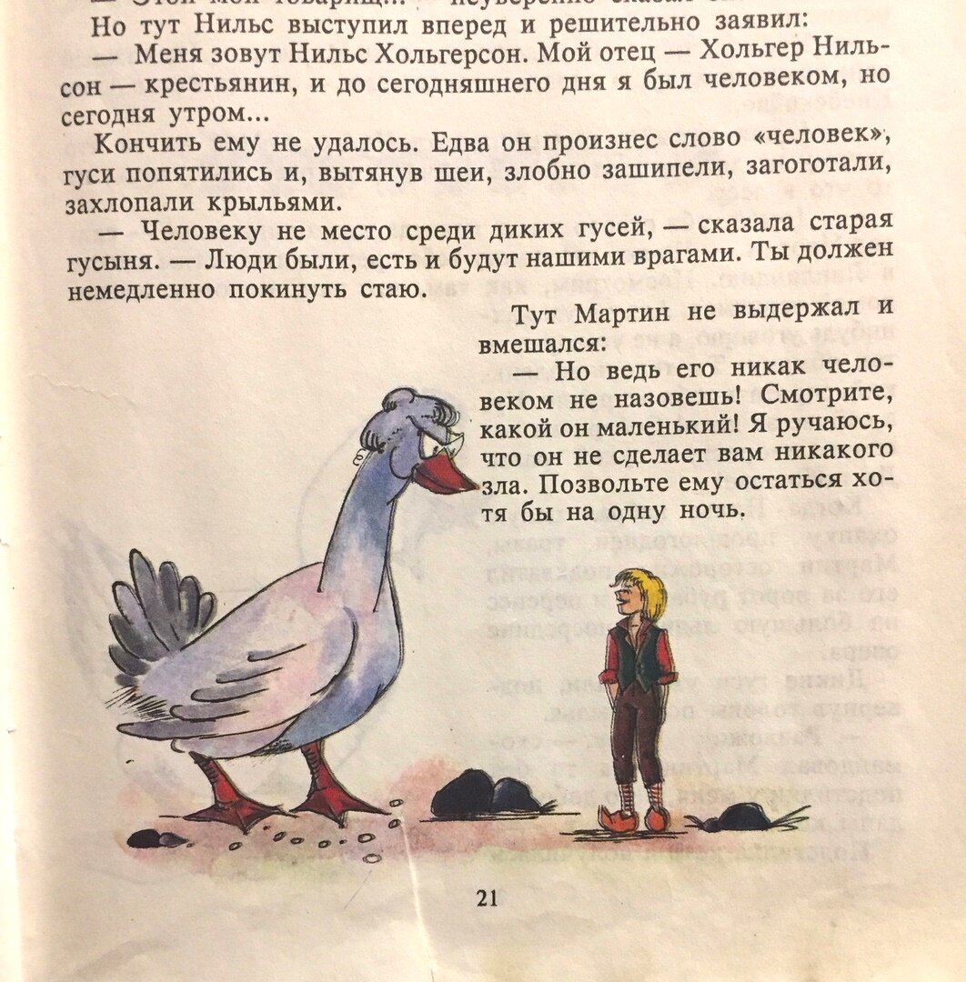 Краткое содержание нильса с дикими гусями. Чудесное путешествие Нильса с дикими гусями. Путешествие с дикими гусями читать.