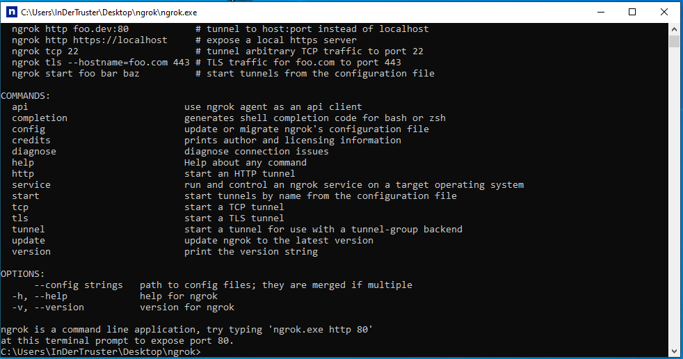 Консоль ngrok после запуска ngrok.exe