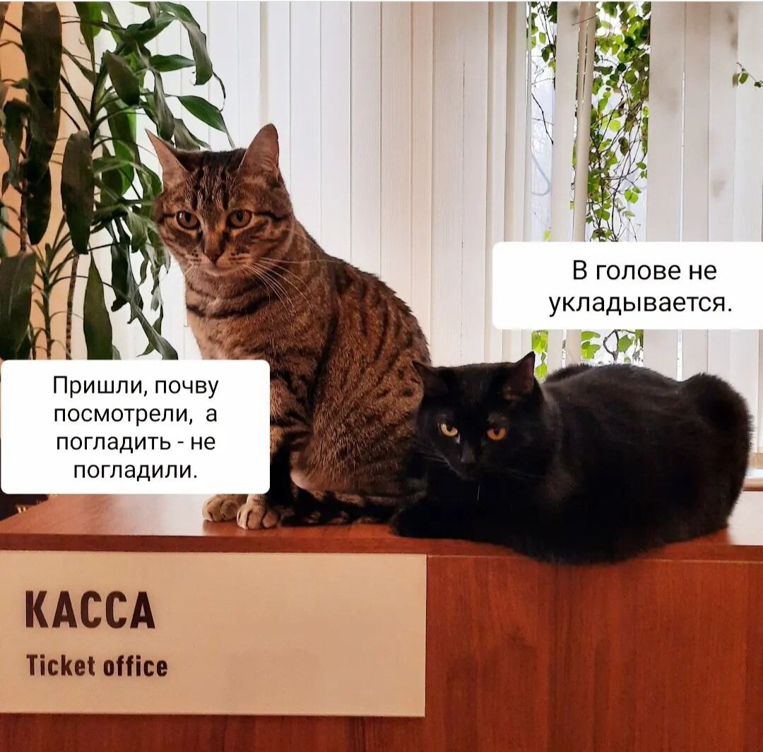 Без комментариев.