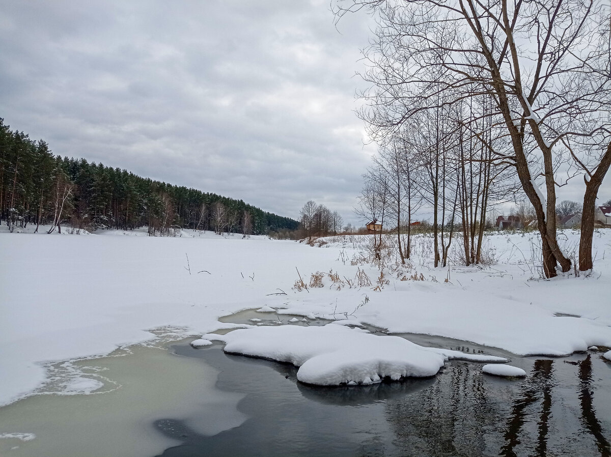 Неширокая но холодная река. Река Сура Пенза. Река Сура в Чувашии. Река Сура весной.