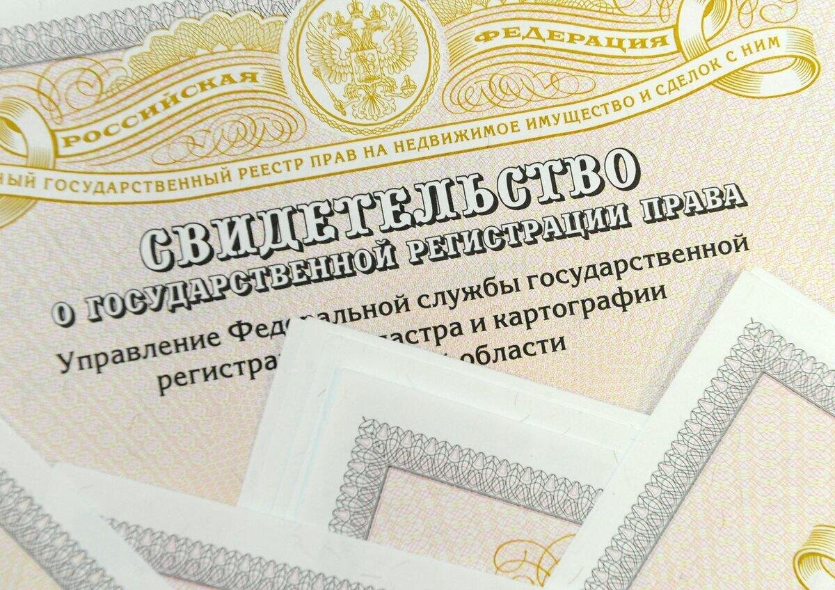 Как оформить договор купли продажи квартиры? | Кайли — квартиры в  новостройках | Дзен