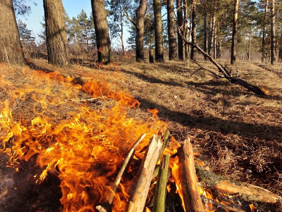     Фото: Ольга Супонева