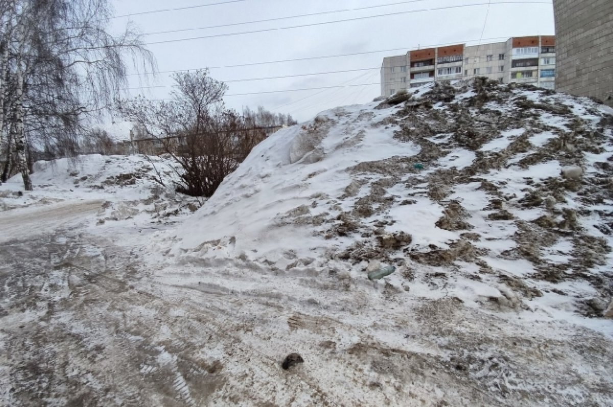 Журналисты сравнили качество уборки в центре и других районах Томска | АиФ- Томск | Дзен