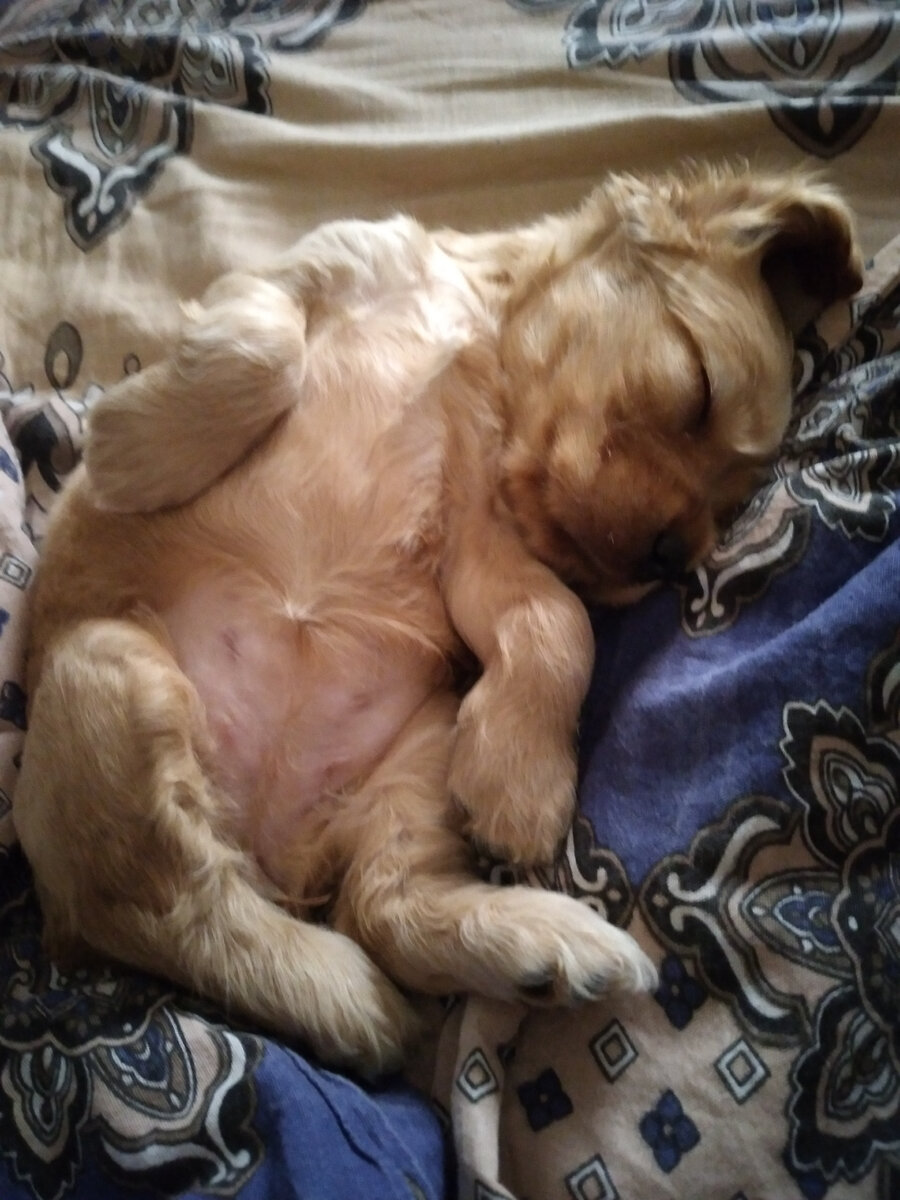 Первые фото