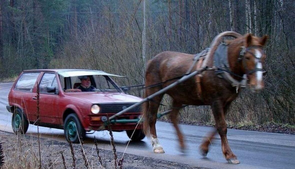 Лошадь тащит машину