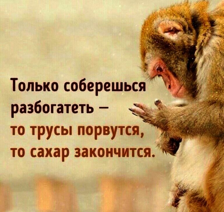 Изображение из открытых источников 