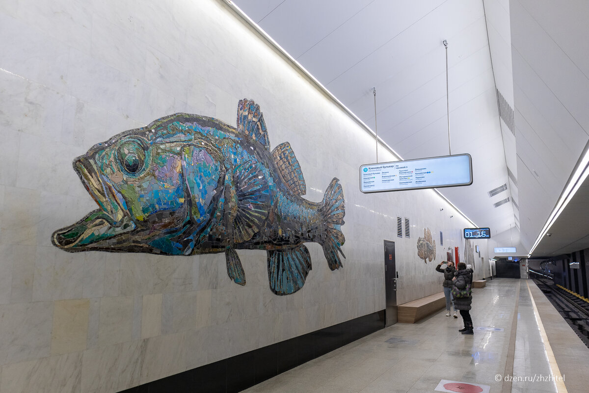 нагатинский затон бкл рыбы.