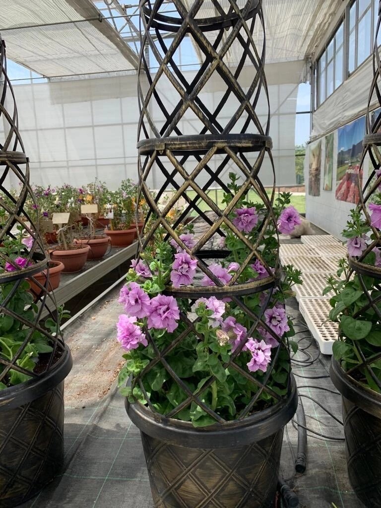 Ссылка на изображение: https://vk.com/photo388070296_457242338