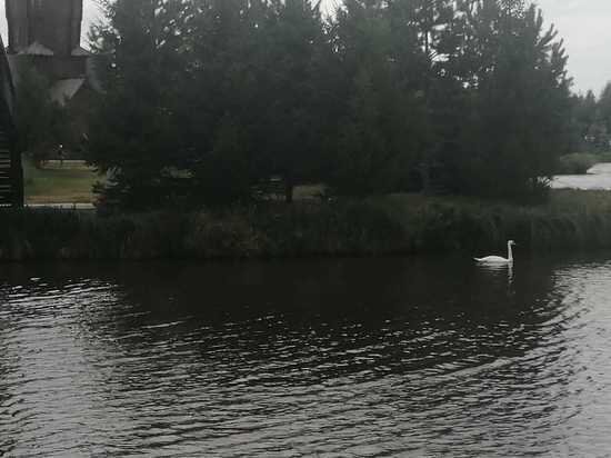     Архив«МК в Оренбурге»