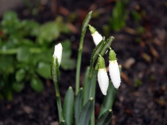     фото: pixabay.com