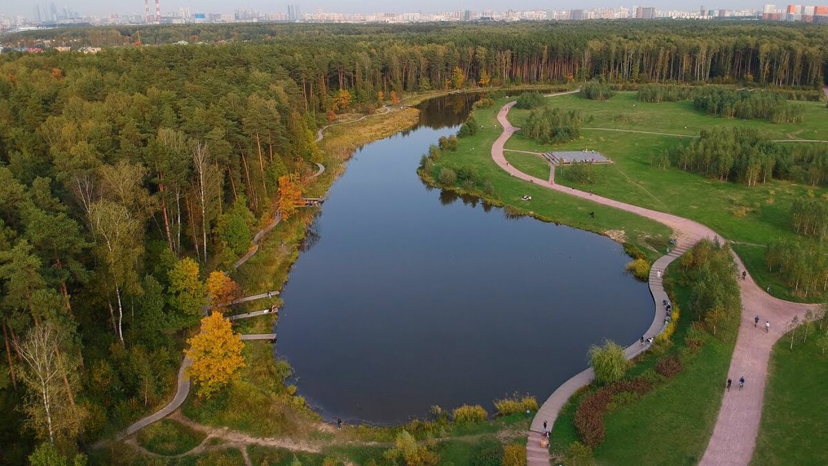 Мещерский парк поле