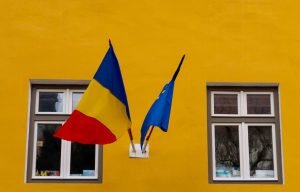    Фото: unsplash.com / Jonny Gios Юлия Карягина