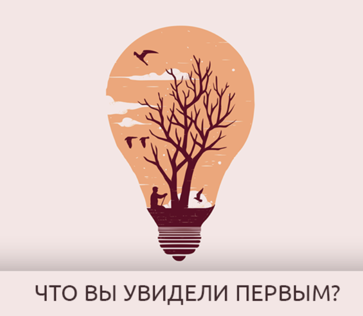 Фото из открытого источника