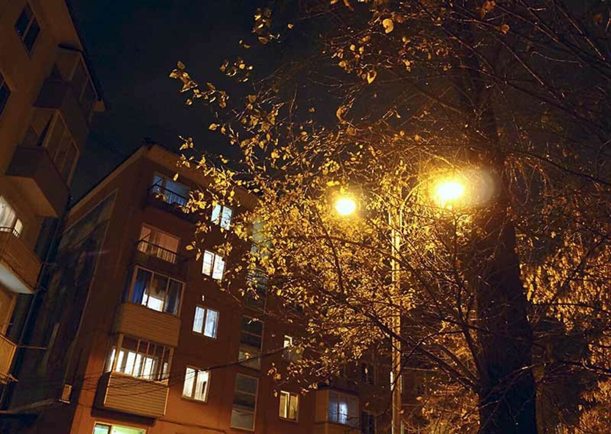 Источник фото: pro-dachnikov.com 