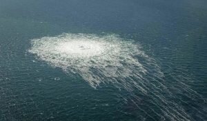    Фото: oper.ru Анастасия Болигузова