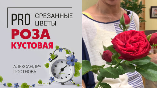 Роза кустовая - какие бывают сорта, от чего зависит цена и как долго они простоят в вазе дома.