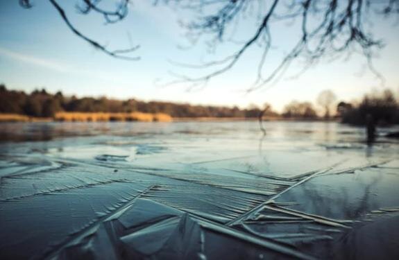    Фото: Canva