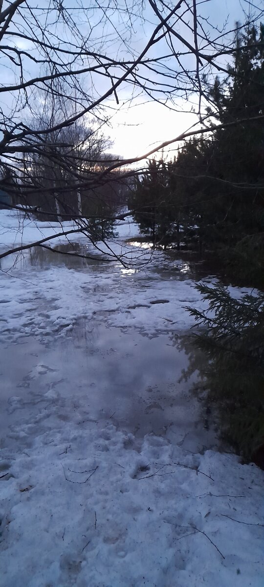 Моментально набухли водой вчерашние глубокие сугробы... 