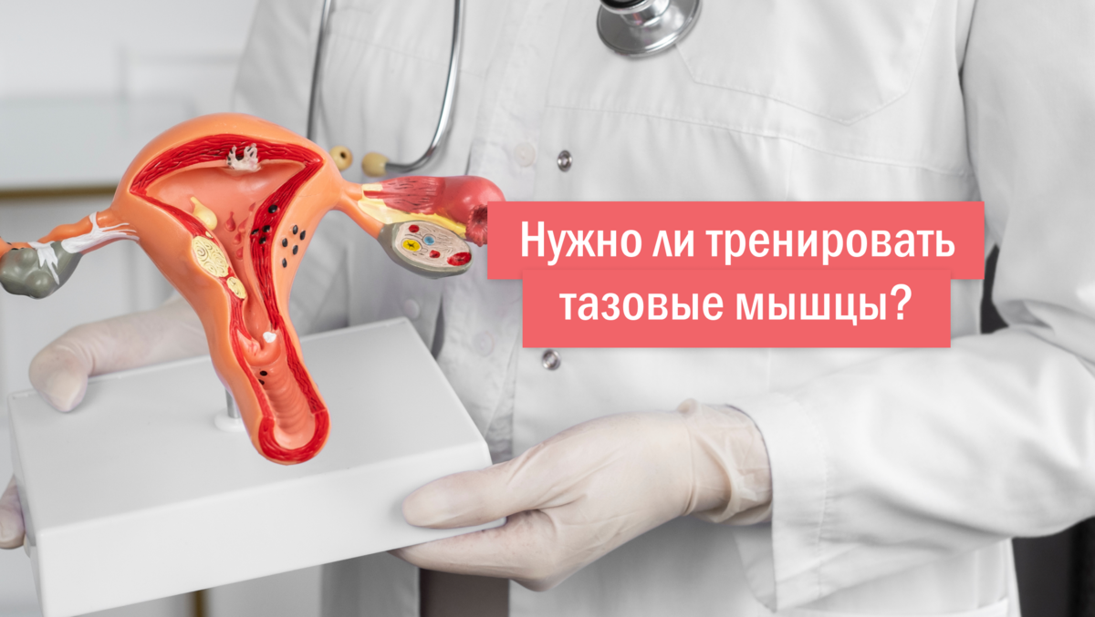 Перинеометрия