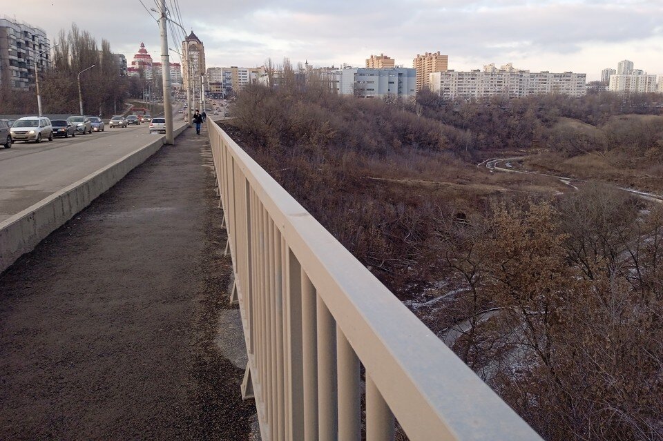     Видео со школьником, гуляющим по мосту через Каменный Лог в Липецке, ошубликовали в сети Юлия КЛЮЕВА