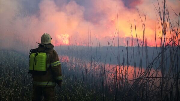    © Sputnik / Виталий Тимкив
