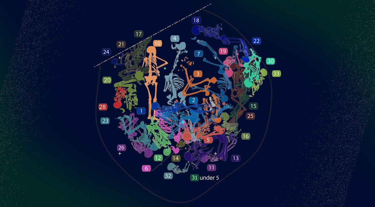   N + 1; Perle Guarino-Vignon et al. / Communications Biology, 2023
